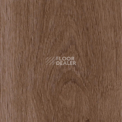 Кварцвиниловые полы AW Invictus Maximus Plank 2.5 мм Highland Oak Chocolate фото 1 | FLOORDEALER